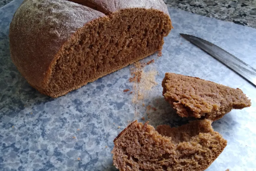 Rye shop bread machine
